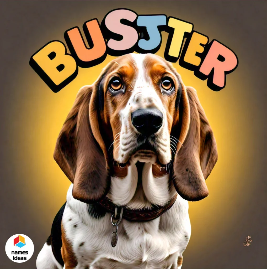 Basset Hound Funny Names for Energetic Personalities