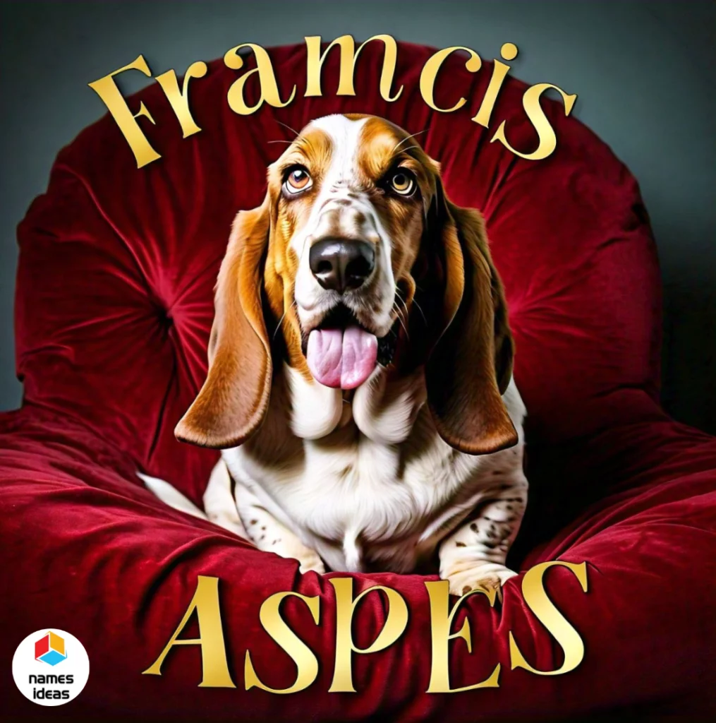 Famous Funny Basset Hound Names from Movies