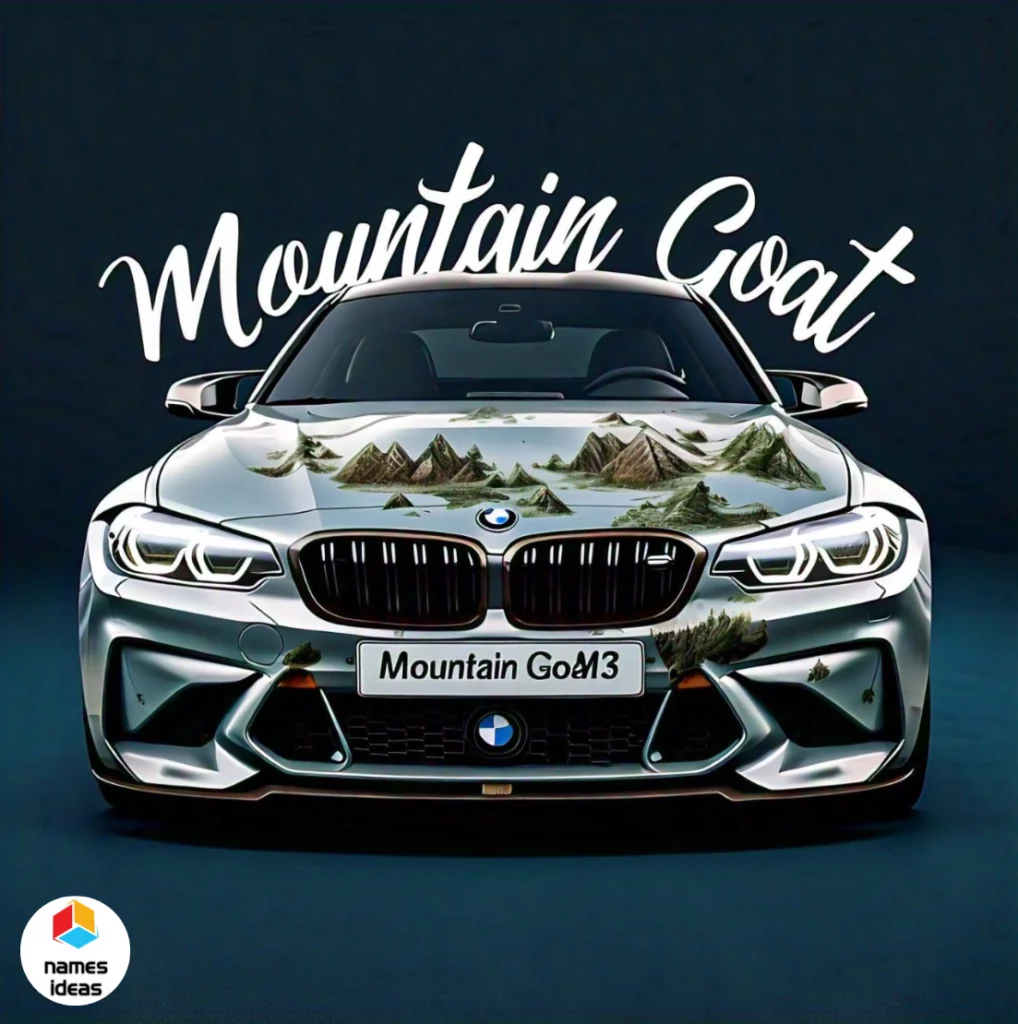 Funny BMW Names Inspired by Nature