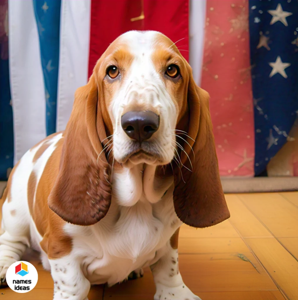 Reddish Brown Basset Hound Funny Names